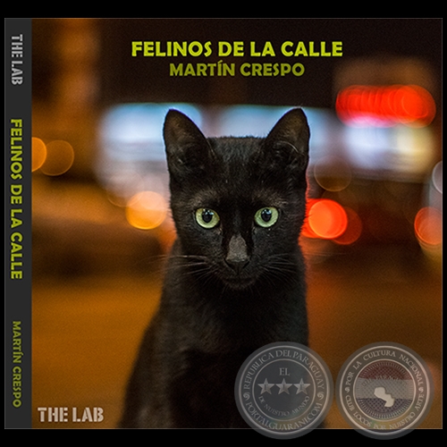 FELINOS DE LA CALLE - Fotografías de MARTÍN CRESPO - Año 2019